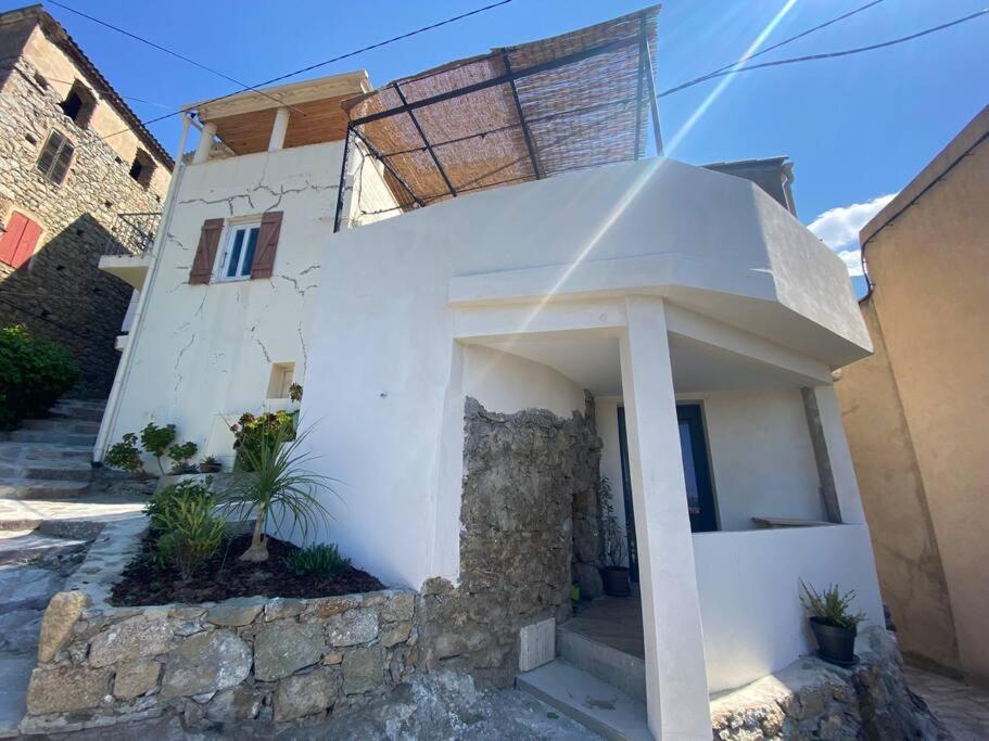 Maison De Caractere, Zilia, Au Pied Du Montegrossu Eksteriør billede